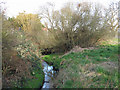 Burnt Oak Brook by The Meads (7)