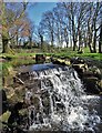 Weir on Redcar Brook