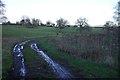 Track off Trimpley Lane