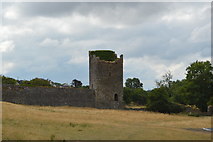 S4943 : Kells Priory - tower by N Chadwick