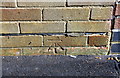 Benchmark on #494 Gainsborough Road