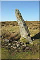 SX6965 : Harbourne Head menhir by Derek Harper