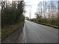 Road beside South Farm Plantation