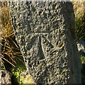 SX6965 : Bench mark, Harbourne Head menhir by Derek Harper