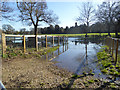 Wet field by Thorpe Road