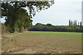 Field near Keepers Cottage