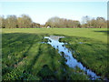 Water lying on Chertsey Meads