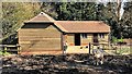 Miniature horse and stables on Church Lane