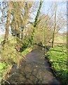 Elphin Beck