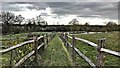 Path heading SW from Morley Farm