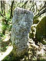 Old Boundary Marker