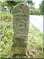 Old Boundary Marker