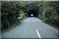 V9060 : Turner's Rock Tunnel on N71 Cork/Kerry border by Colin Park