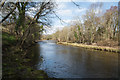 River Wear upstream below Low Wiserley