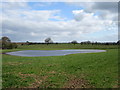 Flooded field adjacent to Lyneal Lane