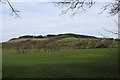 A View towards Beacon Fell