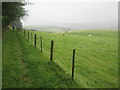 Borders  Abbeys  Way  at  Mount  Ulston  toward  Jedburgh