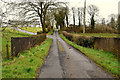 Bridge on Woodbank Road