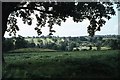 Bradgate Deer Park - View to Newtown Linford