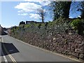 Stone retaining wall, Crescent Mansions, Exeter