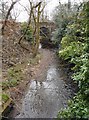 Bridge over the Allander Water