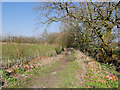 Footpath towards Bury from Doffer Fold