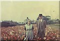 TF4214 : Flower cutters in a field of dahlias - Newton in the Isle, Cambridgeshire - 1962 by The Humphrey Family Archive