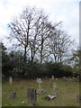 Weycombe Road Cemetery (b)