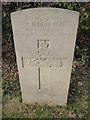 CWGC grave, Weycombe Road Cemetery (iv)