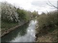 The River Witham upstream of Beckingham Bridge