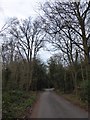 Trees in Highercombe Road