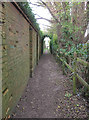 Footpath to the downs