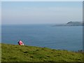 SW7826 : The mouth of the Helford River seen from above Mawnan Shear by Rod Allday