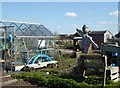 Allotments on Colegates Road, Oare - with scarecrow