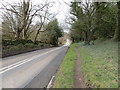 Pathway beside King Lane