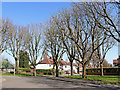 Honor Avenue in Goldthorn Park, Wolverhampton