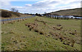 NS2656 : Field near Camphill reservoir by Thomas Nugent