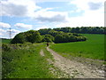 Horse Rider on South Bucks Way