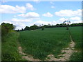 South Bucks Way bypasses Little Missenden