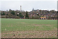 Emerging crop near St Albans