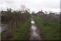 Thames path towards Ham Bridge