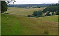 Chiltern Hills above Wilton Farm