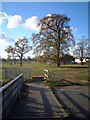 Autumn in Belhus Park