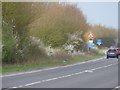 Markers by the hedge