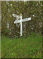 Signpost, Cross Lane Cross