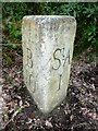 Old Milestone by the A391, Trethowell