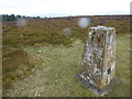SO4090 : Trig point at Knolls on the Long Mynd by Jeremy Bolwell