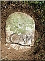 Old Milestone by the A39, near Leeches