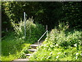 SU8696 : Steps to Public Footpath at Hughenden Valley by Sean Davis