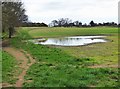 Aftermath of flooding in field (1), Areley Kings, Stourport-on-Severn